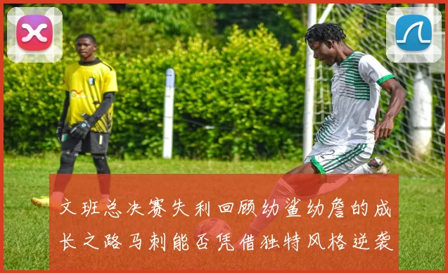 文班总决赛失利回顾幼鲨幼詹的成长之路马刺能否凭借独特风格逆袭成功