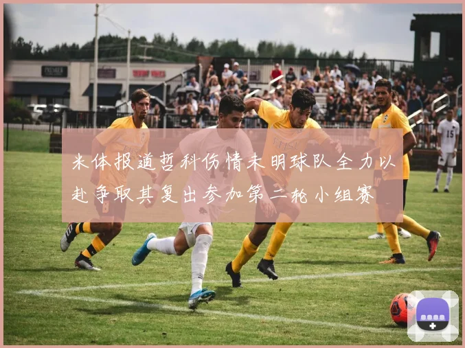 米体报道哲科伤情未明球队全力以赴争取其复出参加第二轮小组赛